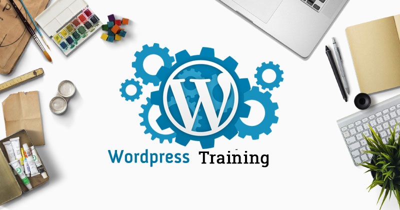 Useful Tips to Build Website Training